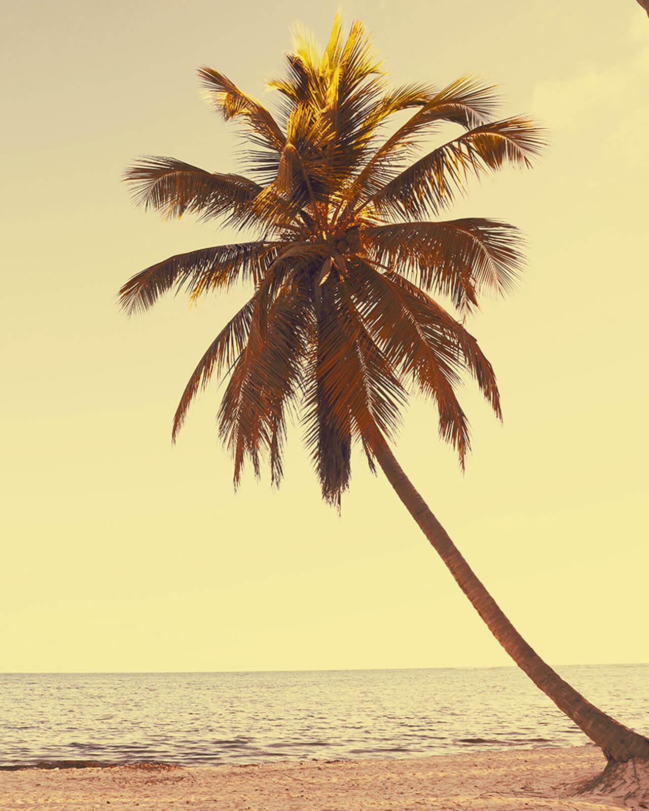 porada czas cierpliwość wakacje na jamajce